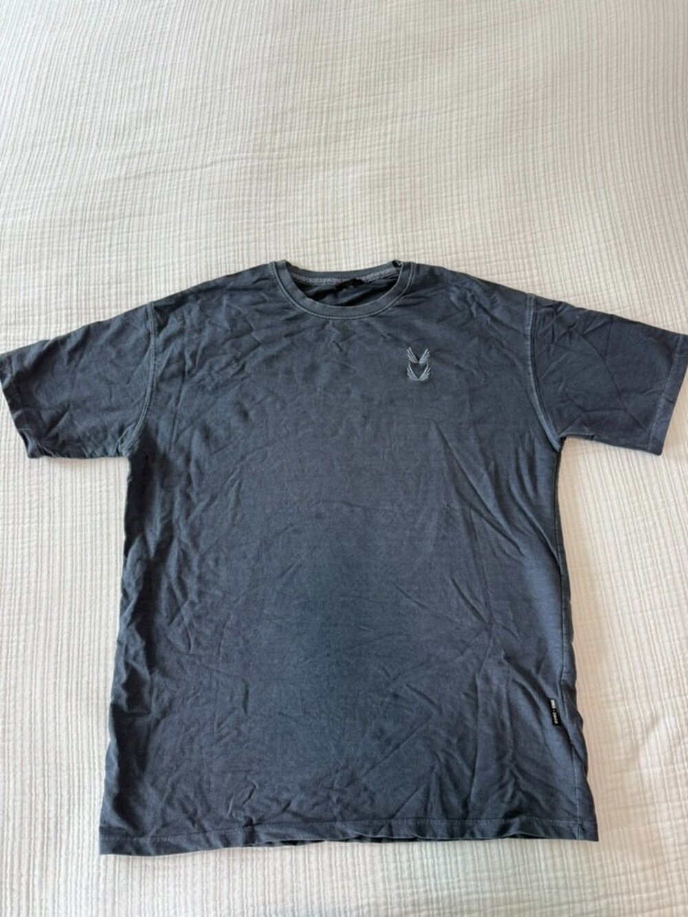 ASRV Stone Washed Wing Logo Oversized Tee Faded Black Men's M DSG-0602
